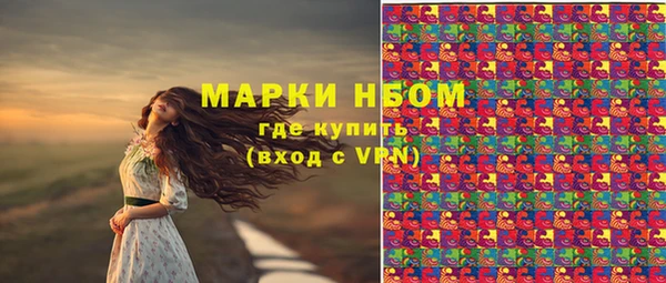 СК Козельск