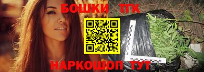 молекула духа Шелехов