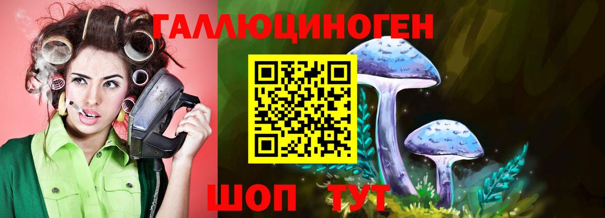 Сызрань  как найти наркотики  Вход с VPN  Псилоцибиновые грибы Psilocybine cubensis 